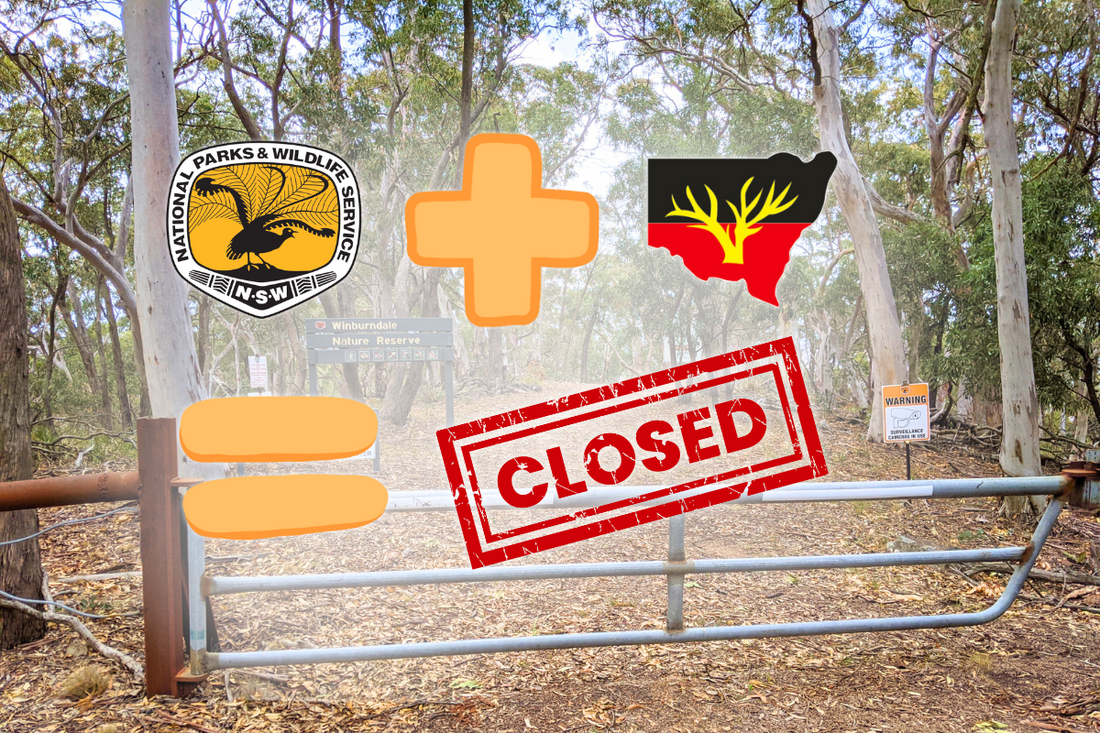 The Tug-of-War Over NSW National Parks: 4WDs, Land Rights, and Whose Land It Really Is