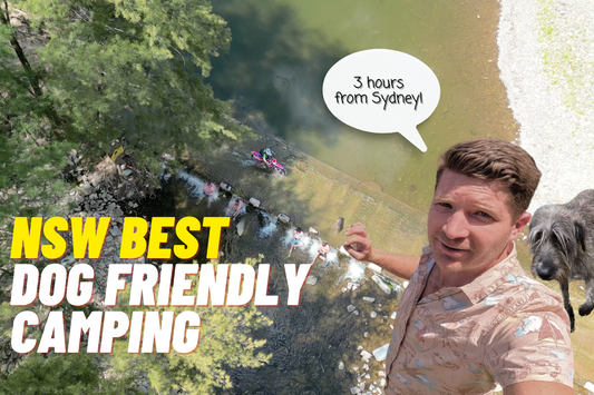 The Bridle Track - NSW Best DOG FRIENDLY camping exposed - Perfect swimming just 3 hours from Sydney