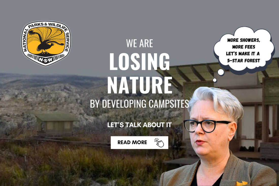 tiered camp pricing and Penny Sharpe's push