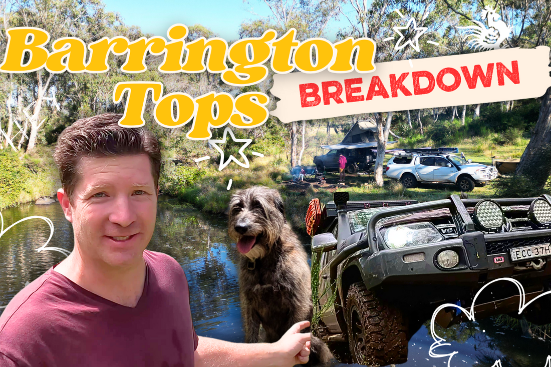 Barrington Tops 4WD camping Blog - dog friendly